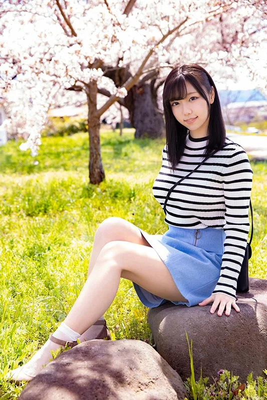 dvdms00555 SS1