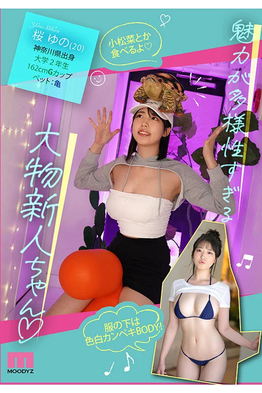 mida00015 SS1